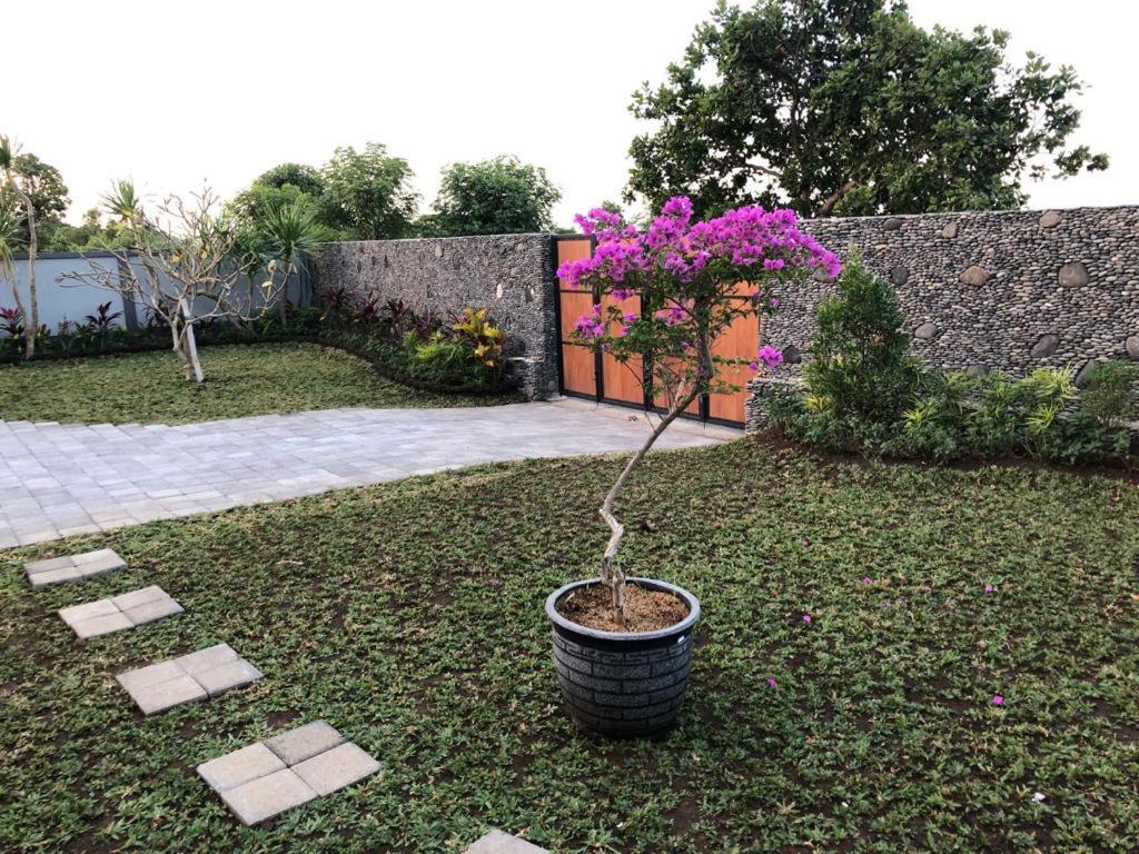 Villa Rosa East Bali Karangasem  Ngoại thất bức ảnh